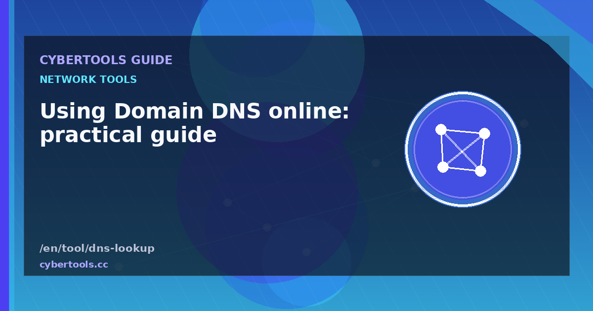 Using Domain DNS online: practical guide